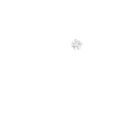 sfap logo white
